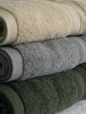 broad fancy border towels 03